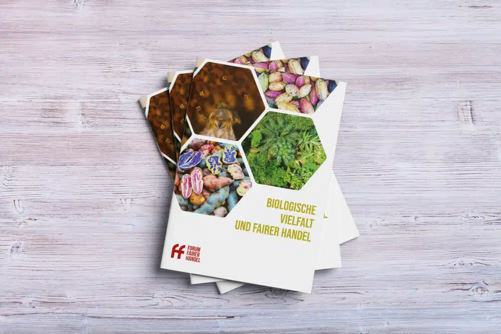 Für das Forum Fairer Handel hat eCouleur eine 24-seitige Broschüre gestaltet, die Biodiversität in einem klaren Layout, mit starken Bildern und aussagekräftigen Infografiken lebendig macht.