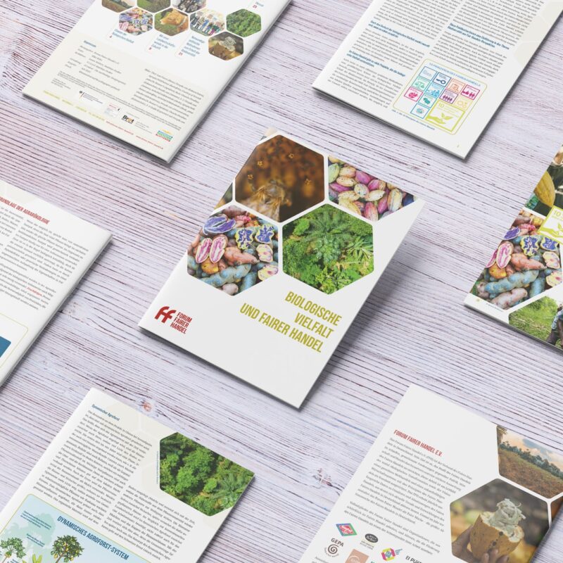 eCouleur-referenz-Forum-Fairer-Handel-Broschüre-Mockup-03